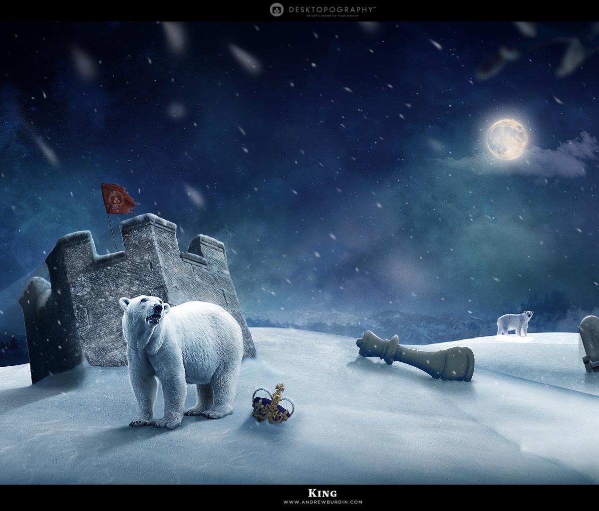 Screenshot №1 pro téma White Bear Polar King 1200x1024
