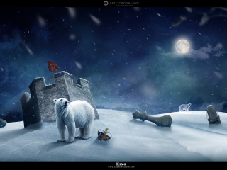 Fondo de pantalla White Bear Polar King 320x240