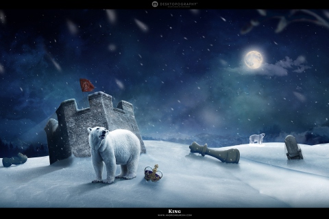 Screenshot №1 pro téma White Bear Polar King 480x320