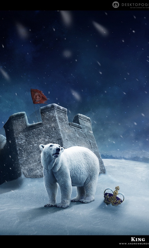 Fondo de pantalla White Bear Polar King 480x800