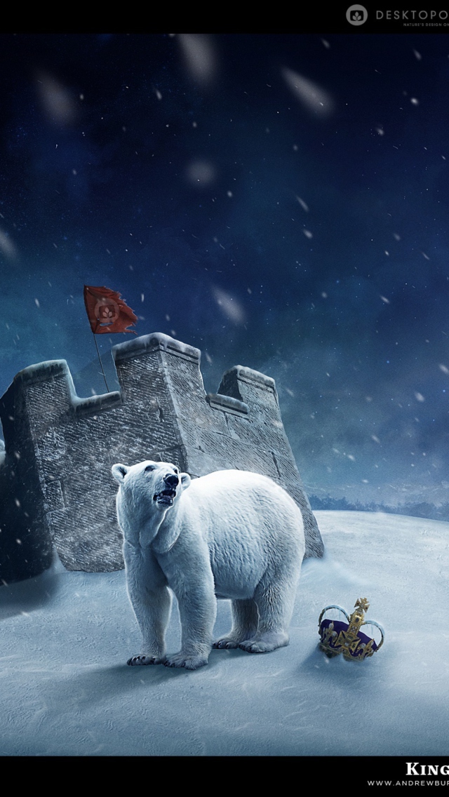 White Bear Polar King wallpaper 640x1136