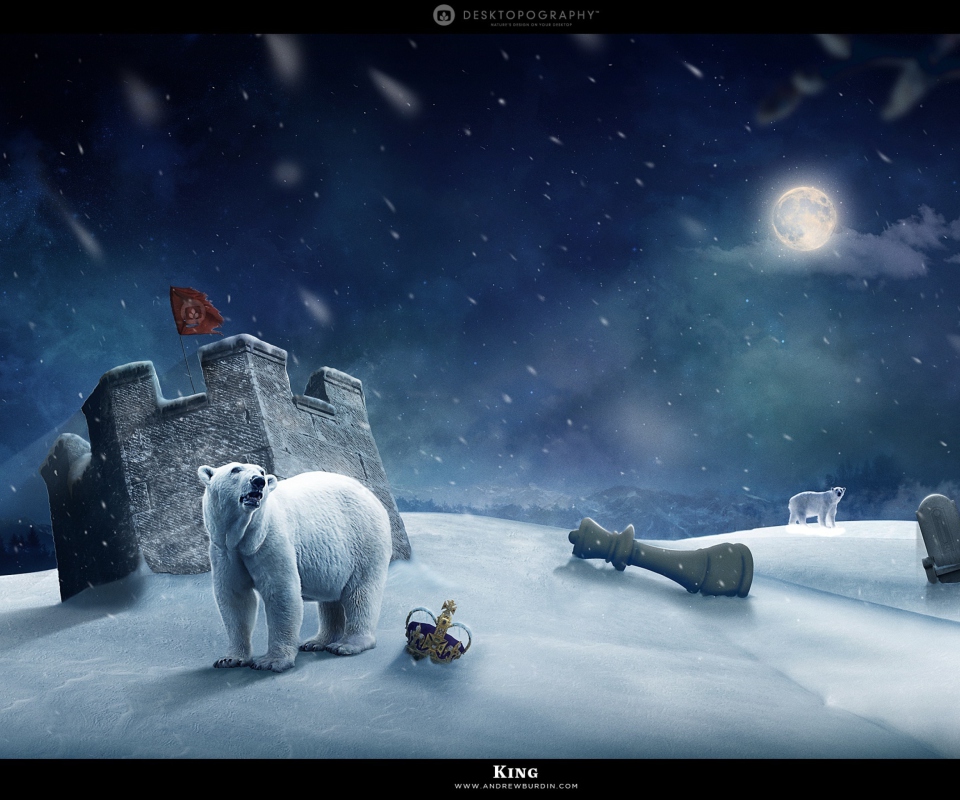 Fondo de pantalla White Bear Polar King 960x800