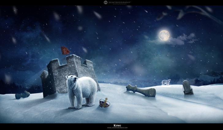 Fondo de pantalla White Bear Polar King