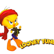 Das Tweety Looney Tunes Wallpaper 208x208