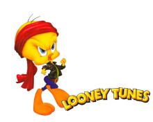 Sfondi Tweety Looney Tunes 220x176