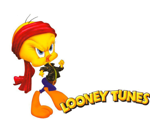 Fondo de pantalla Tweety Looney Tunes 480x400