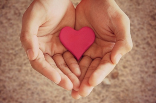 Pink Heart In Hands sfondi gratuiti per cellulari Android, iPhone, iPad e desktop