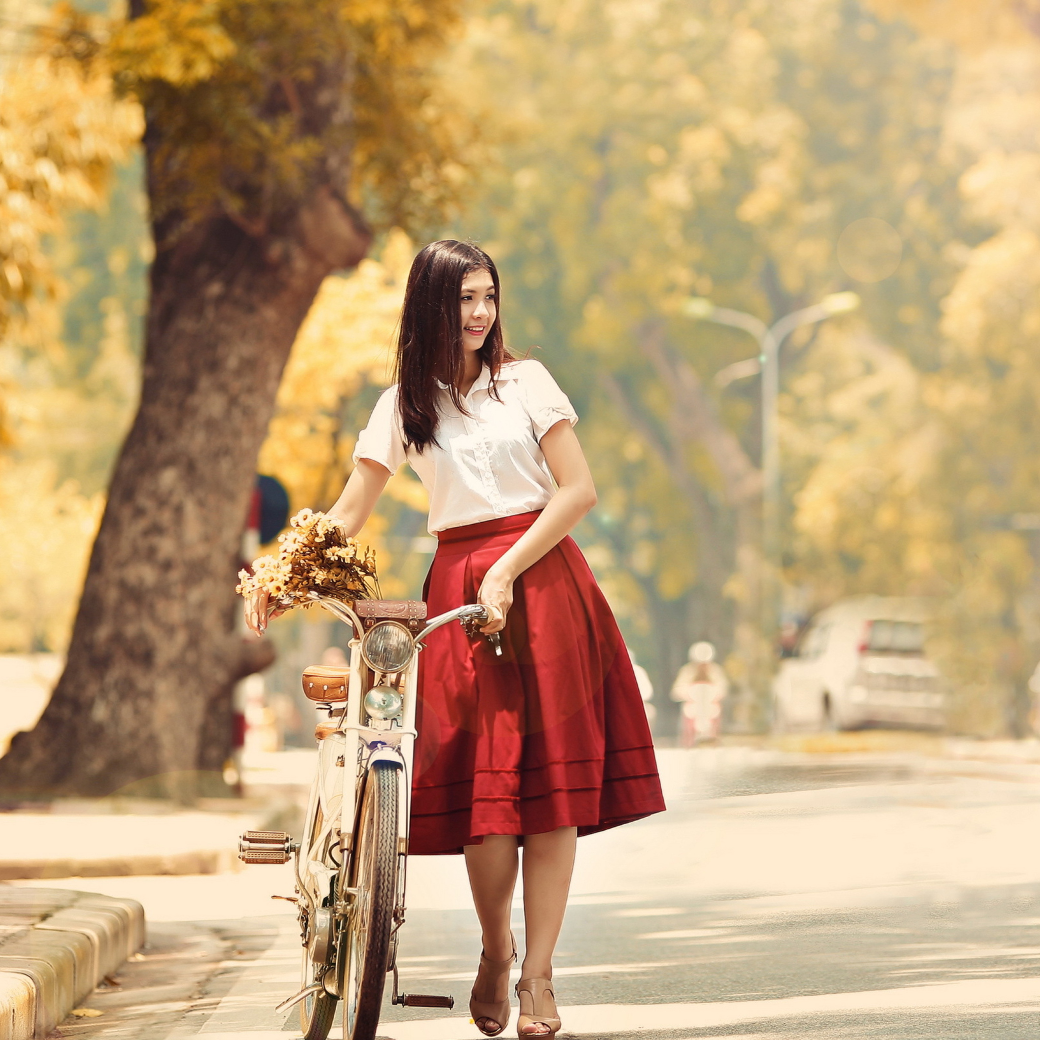 Romantic Girl With Bicycle And Flowers screenshot #1 2048x2048