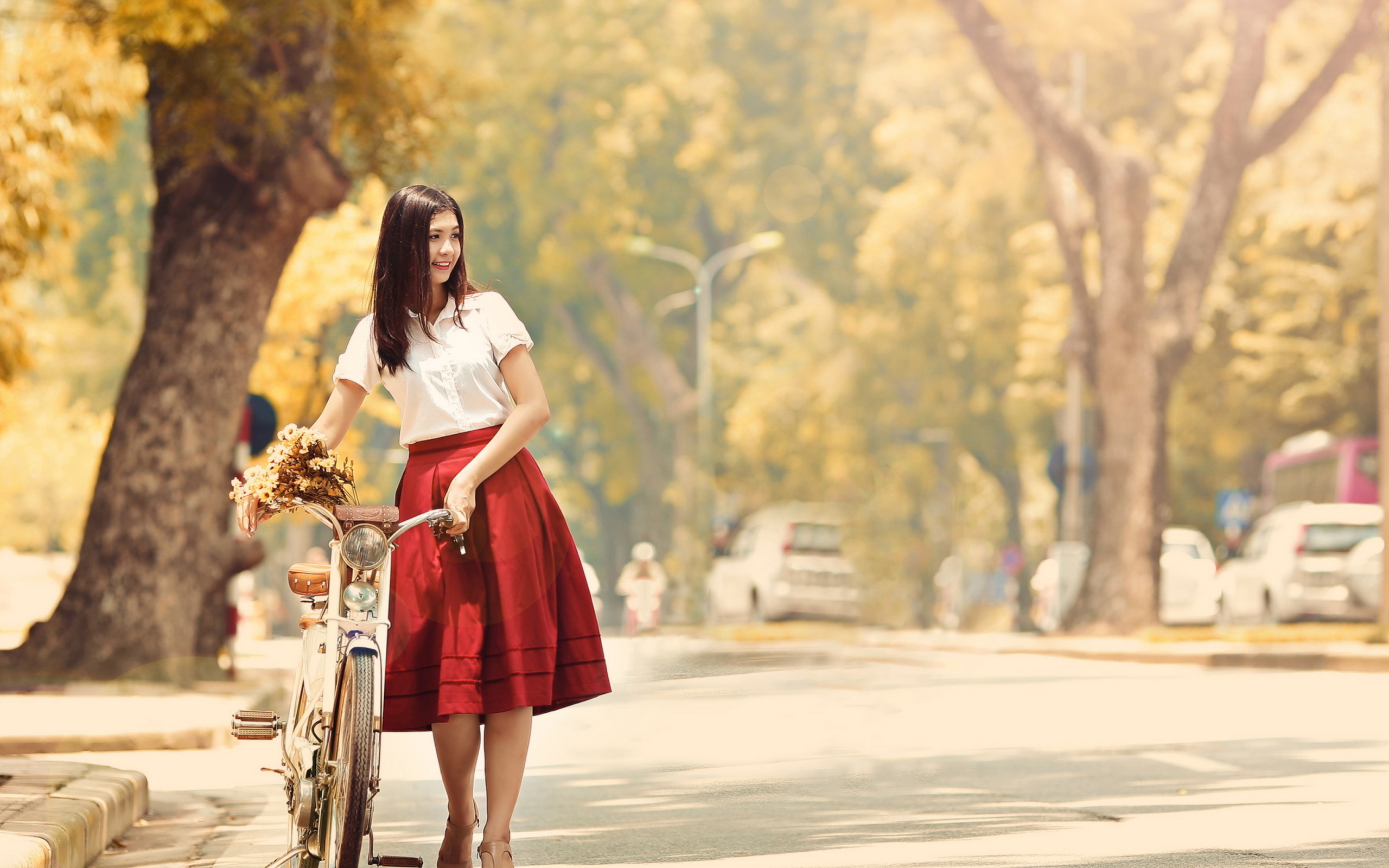 Обои Romantic Girl With Bicycle And Flowers 2560x1600
