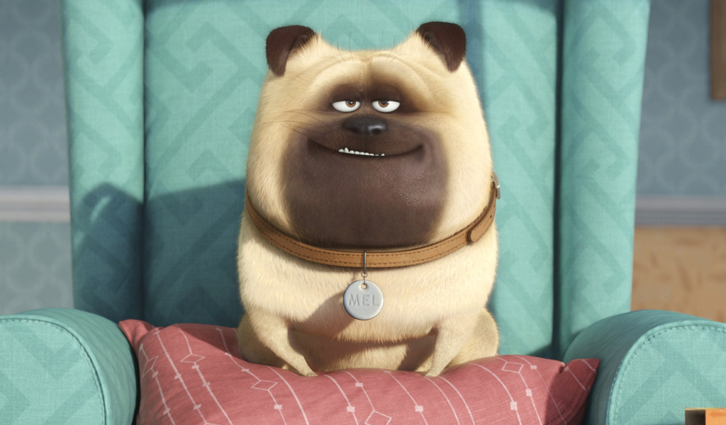 Screenshot №1 pro téma The Secret Life of Pets 1024x600