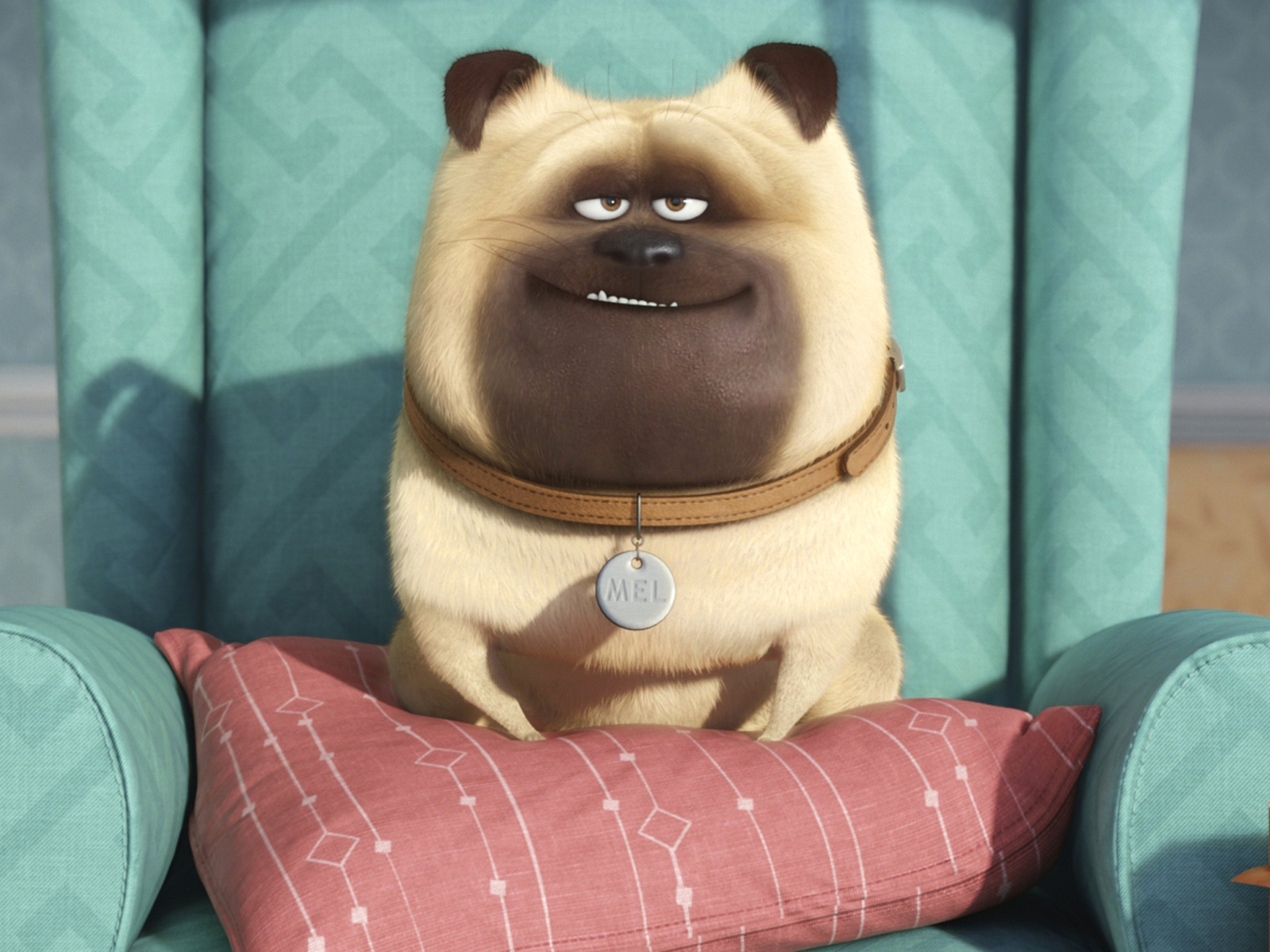 The Secret Life of Pets screenshot #1 1600x1200