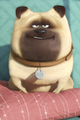 Sfondi The Secret Life of Pets 320x480