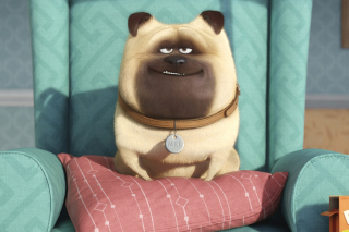 Kostenloses The Secret Life of Pets Wallpaper für Android, iPhone und iPad