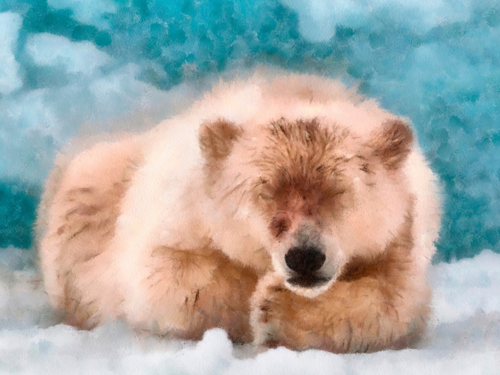 Fondo de pantalla Sleeping Polar Bear 1024x768