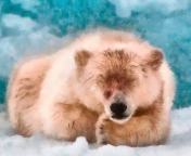 Sleeping Polar Bear wallpaper 176x144
