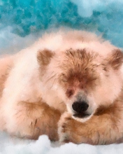 Обои Sleeping Polar Bear 176x220
