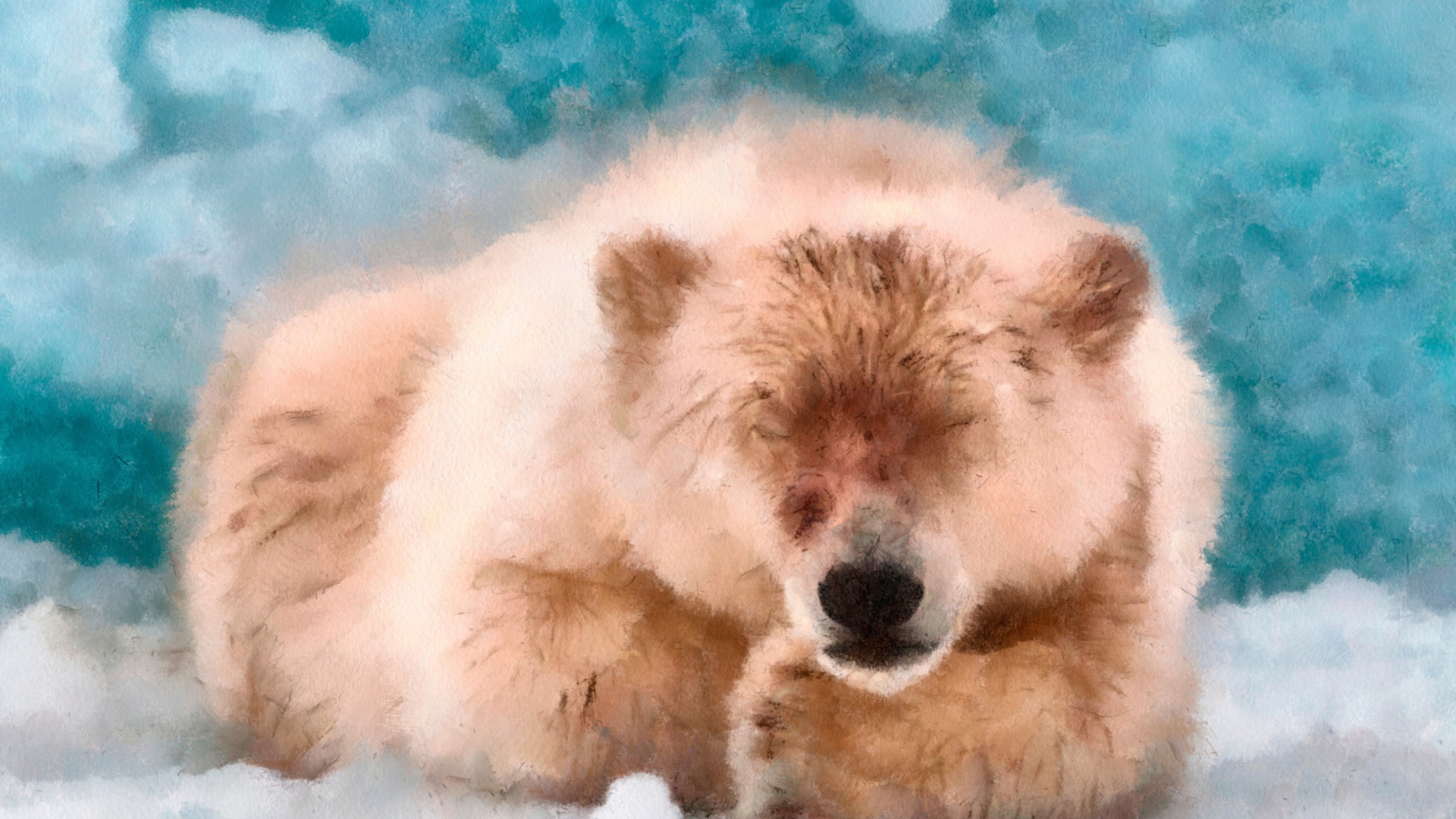 Sleeping Polar Bear wallpaper 1920x1080