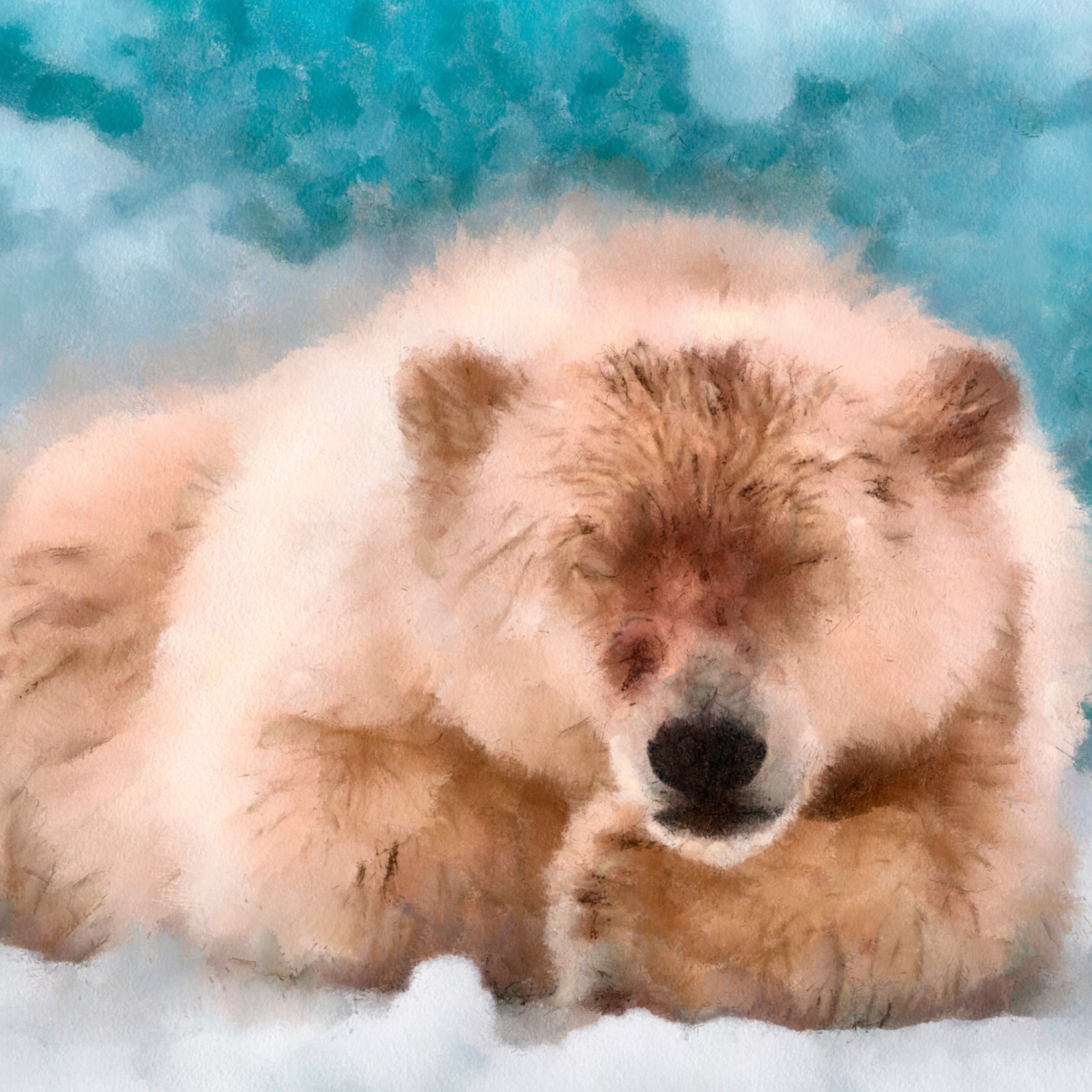 Обои Sleeping Polar Bear 2048x2048