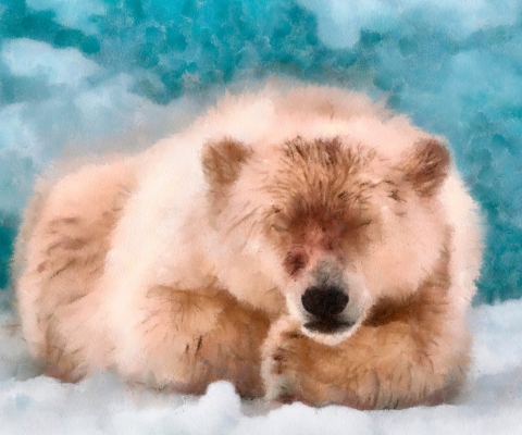 Sleeping Polar Bear wallpaper 480x400