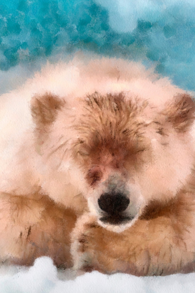 Sleeping Polar Bear wallpaper 640x960