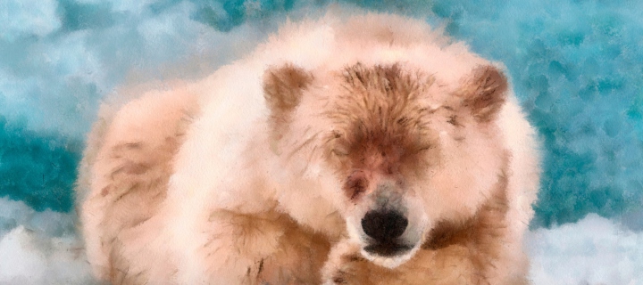 Sfondi Sleeping Polar Bear 720x320