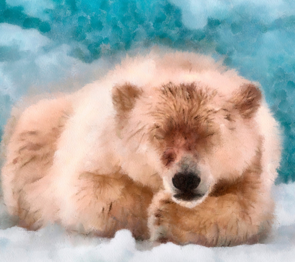 Fondo de pantalla Sleeping Polar Bear 960x854