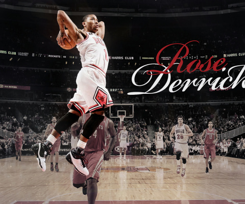 Derrick Rose NBA Star wallpaper 480x400