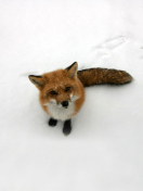 Das Lonely Fox On Snow Wallpaper 132x176