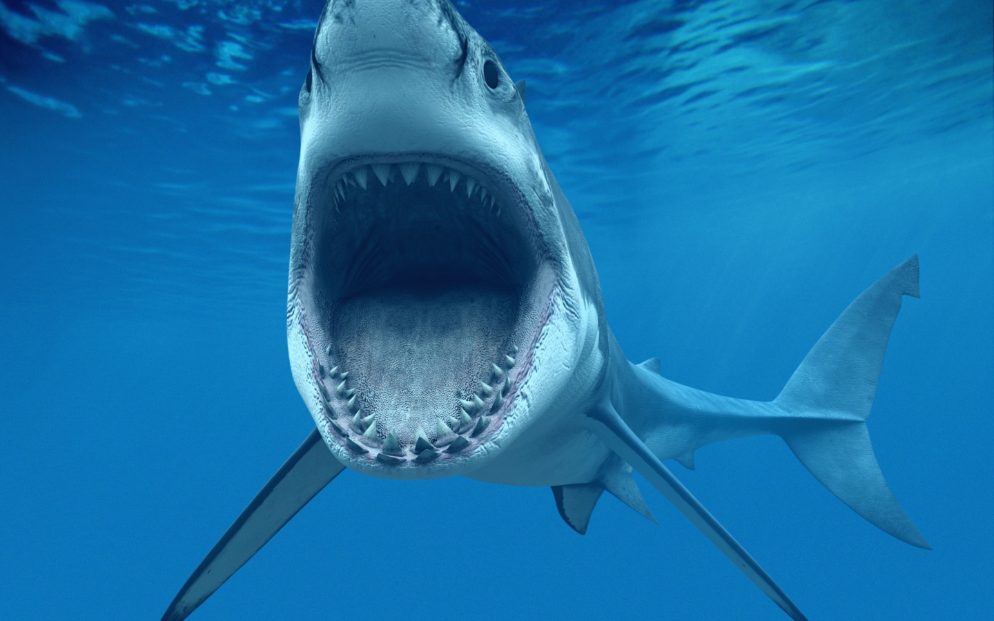Screenshot №1 pro téma Great White Shark 1440x900
