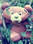 Sfondi Toy Bear 132x176