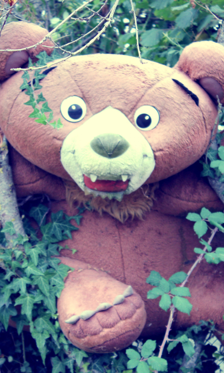 Das Toy Bear Wallpaper 768x1280