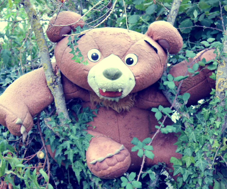 Toy Bear wallpaper 960x800