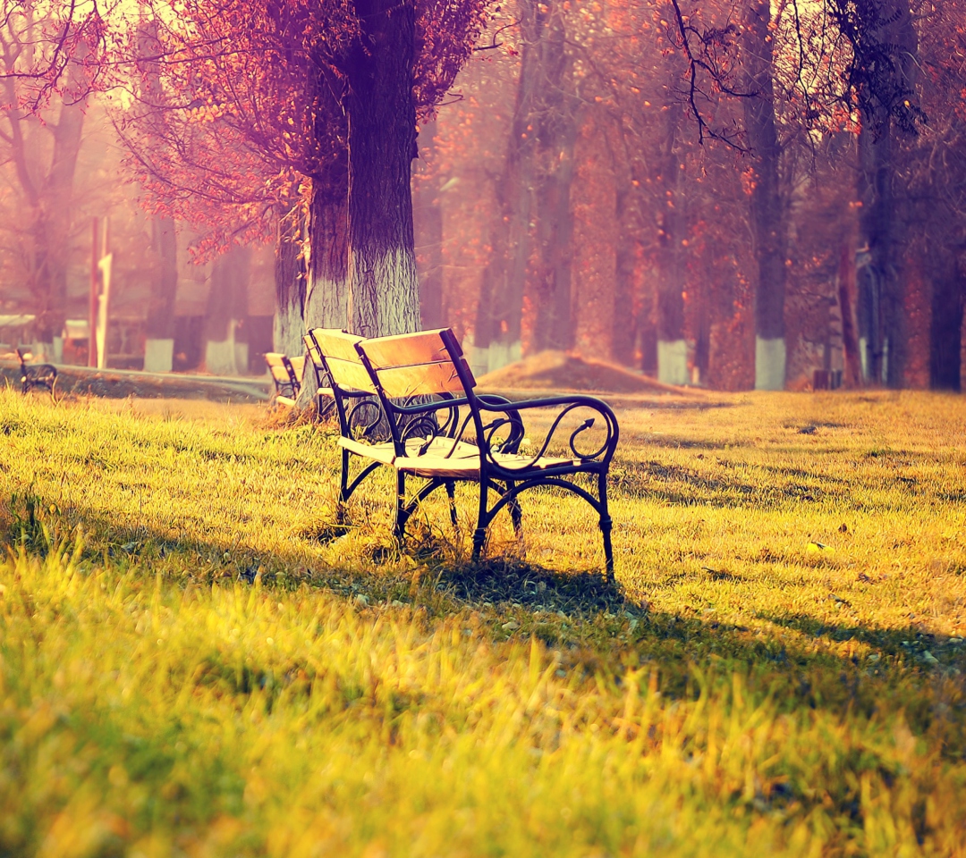 Das Bench In Park Wallpaper 1080x960