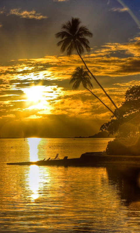 Sunset in Angola wallpaper 480x800