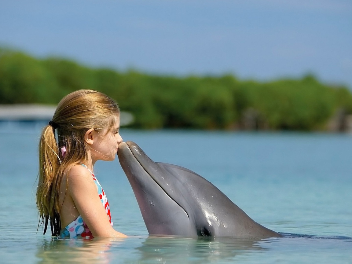 Fondo de pantalla Dolphin's Kiss 1152x864