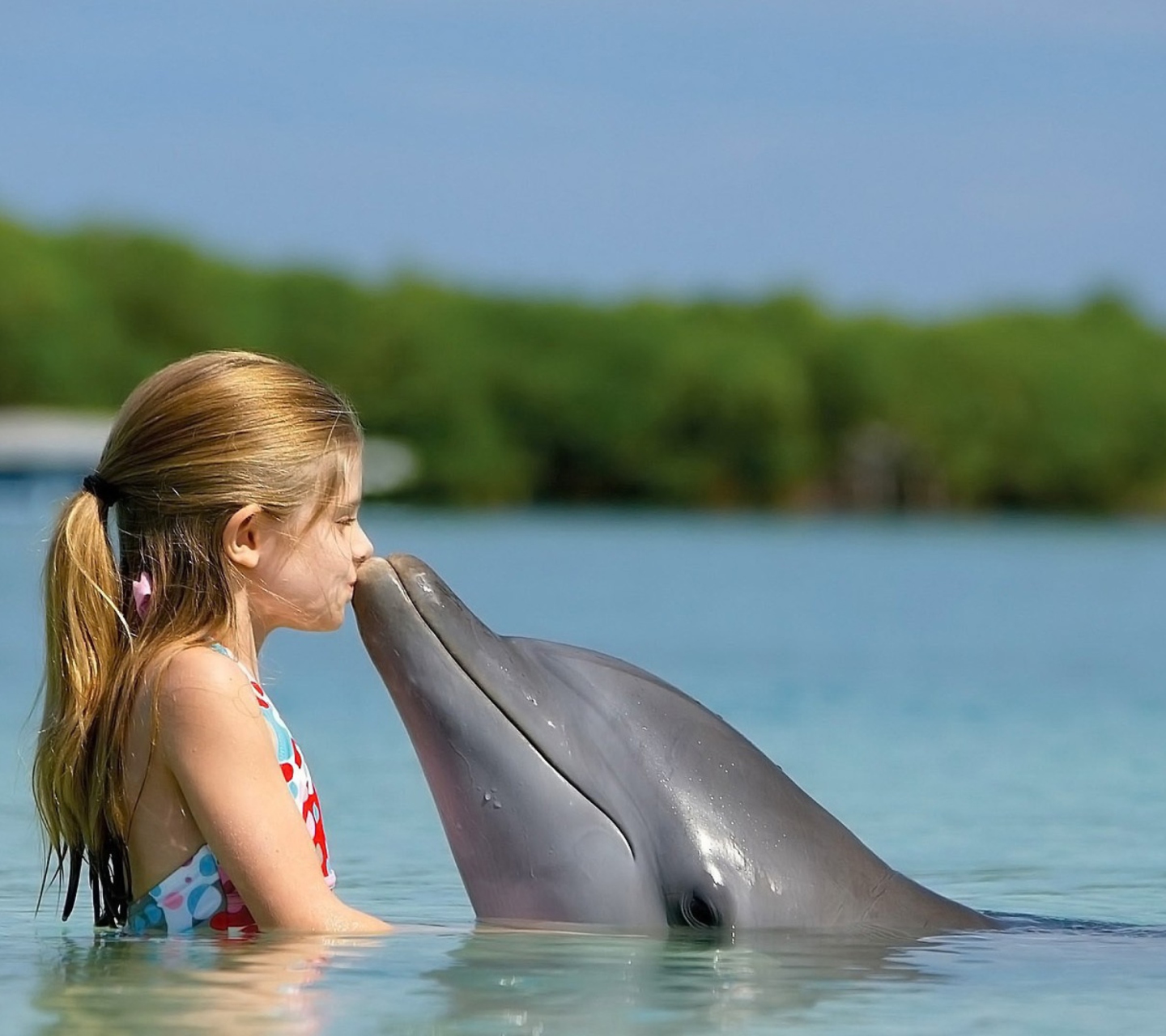 Fondo de pantalla Dolphin's Kiss 1440x1280