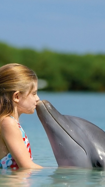 Обои Dolphin's Kiss 360x640