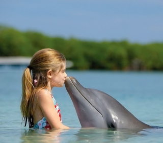 Dolphin's Kiss - Fondos de pantalla gratis para 1024x1024