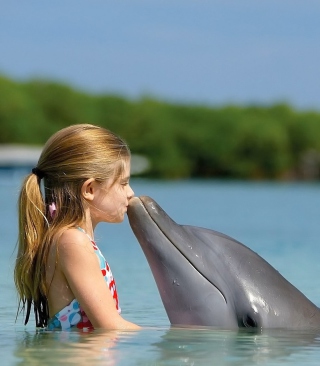 Dolphin's Kiss sfondi gratuiti per HTC Titan