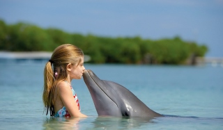Free Dolphin's Kiss Picture for Android, iPhone and iPad