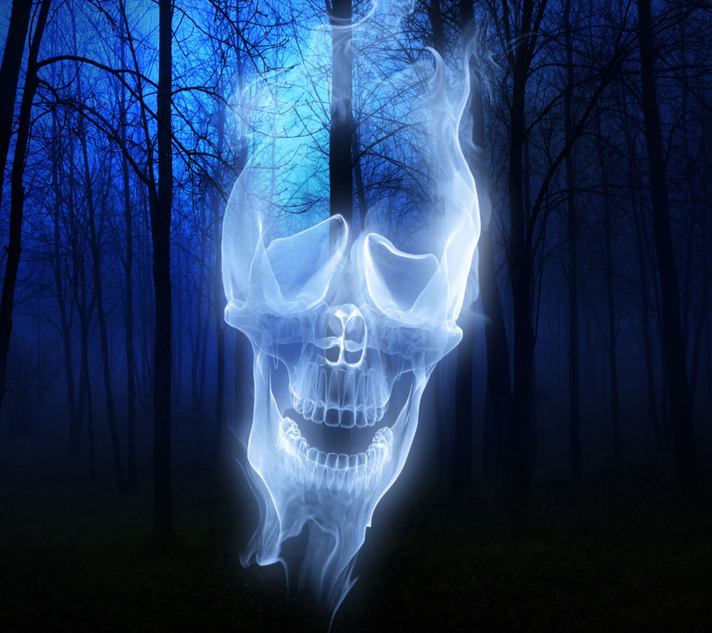 Обои Forest Skull Ghost 1440x1280