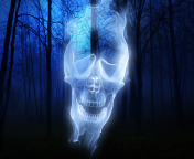 Forest Skull Ghost wallpaper 176x144