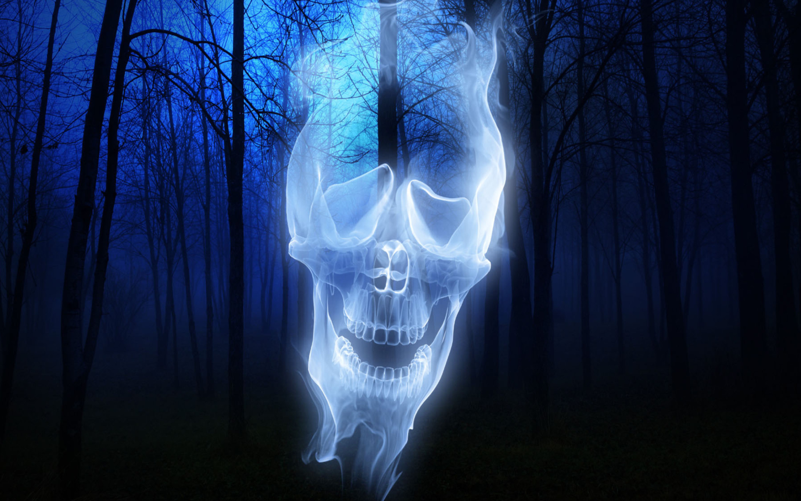 Обои Forest Skull Ghost 2560x1600