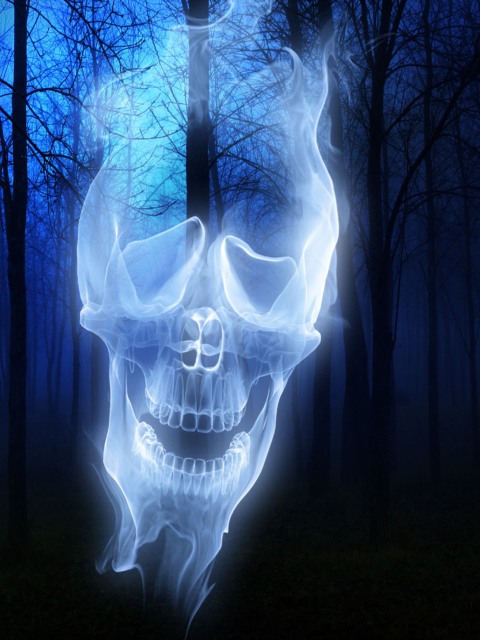 Fondo de pantalla Forest Skull Ghost 480x640
