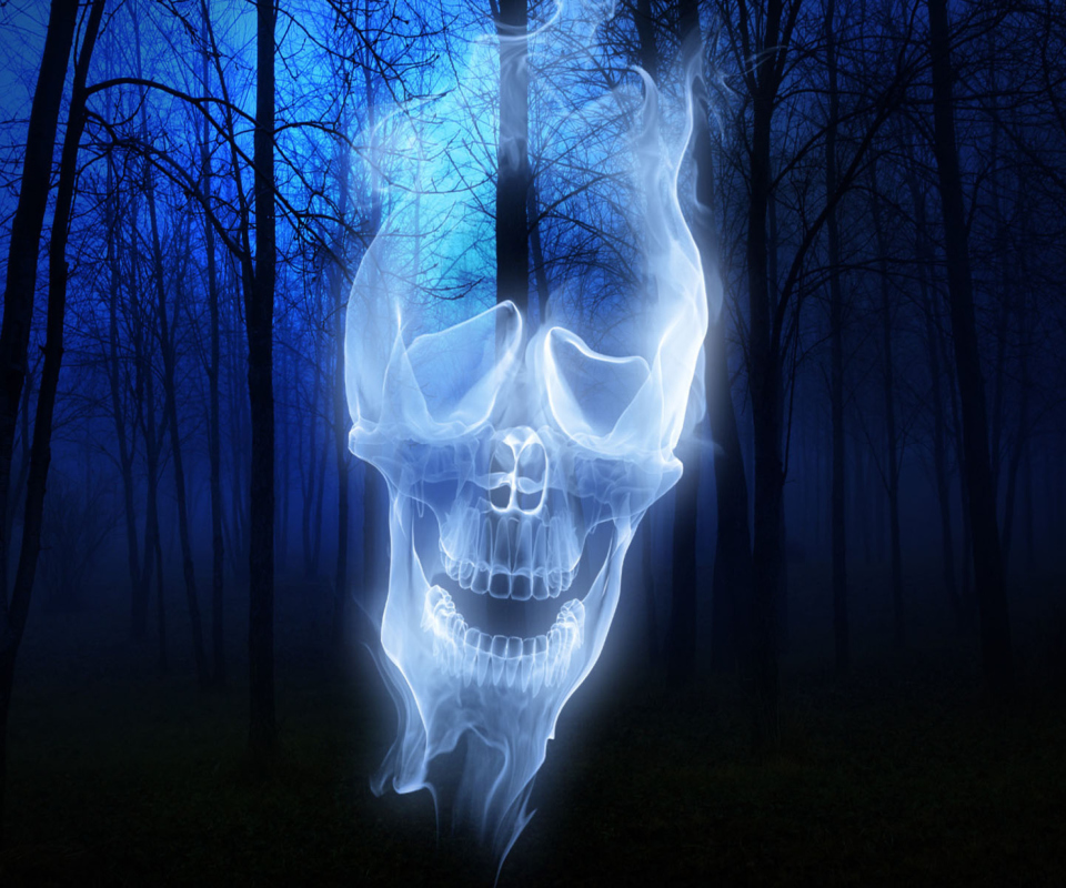 Обои Forest Skull Ghost 960x800