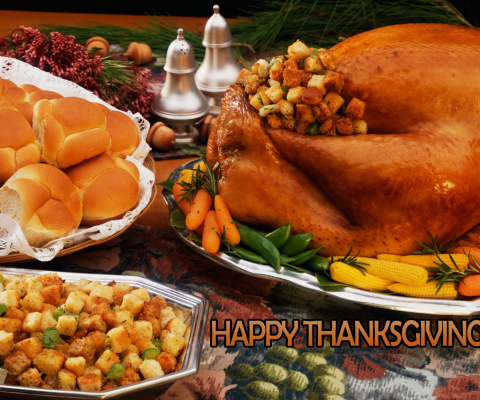 Fondo de pantalla Happy Thanksgiving 480x400