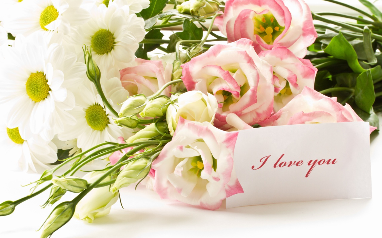Bouquet of daisies and roses wallpaper 1280x800