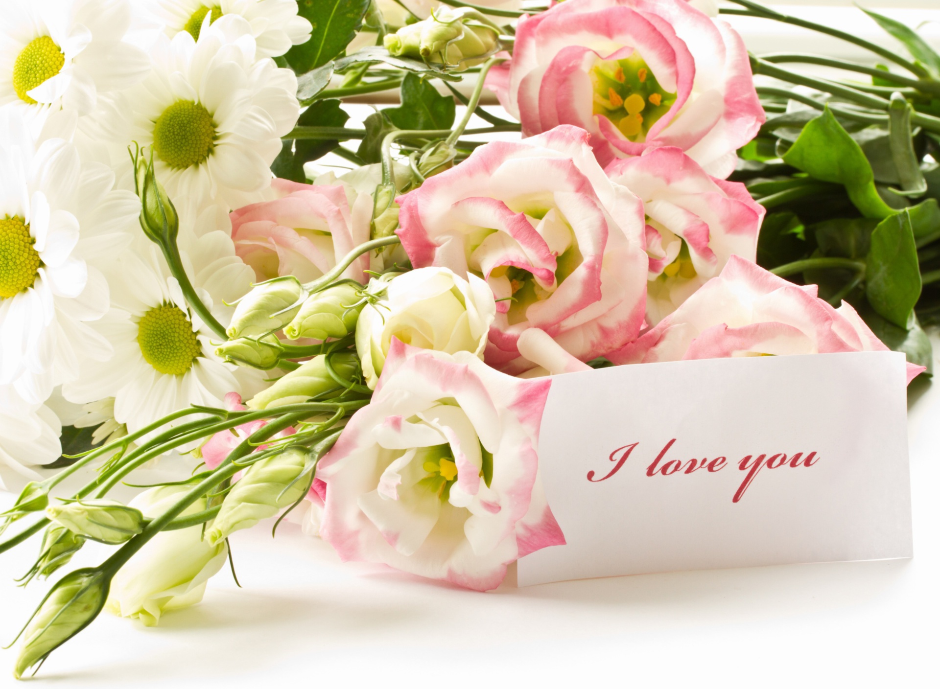 Bouquet of daisies and roses wallpaper 1920x1408
