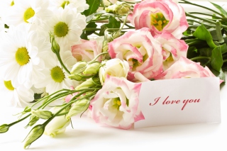 Kostenloses Bouquet of daisies and roses Wallpaper für Android, iPhone und iPad