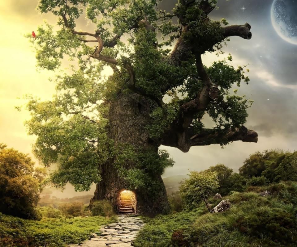 Tree House wallpaper 960x800